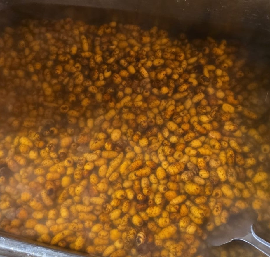 Zoete Tijgernoten – Perfect voor Karpervissers